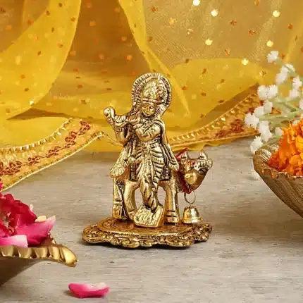 Blessings of Lord Krishna